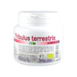 Tribulus Terrestris Pudră BIO - 200g